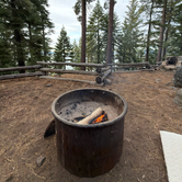 Review photo of D.L. Bliss State Park Campground by Adaline J., September 17, 2026