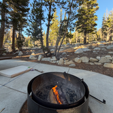 Review photo of Mount Rose Campground by Adaline J., September 17, 2026