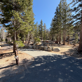 Review photo of Mount Rose Campground by Adaline J., September 17, 2026
