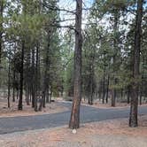 Review photo of LaPine State Park Campground by Ann E., September 17, 2026