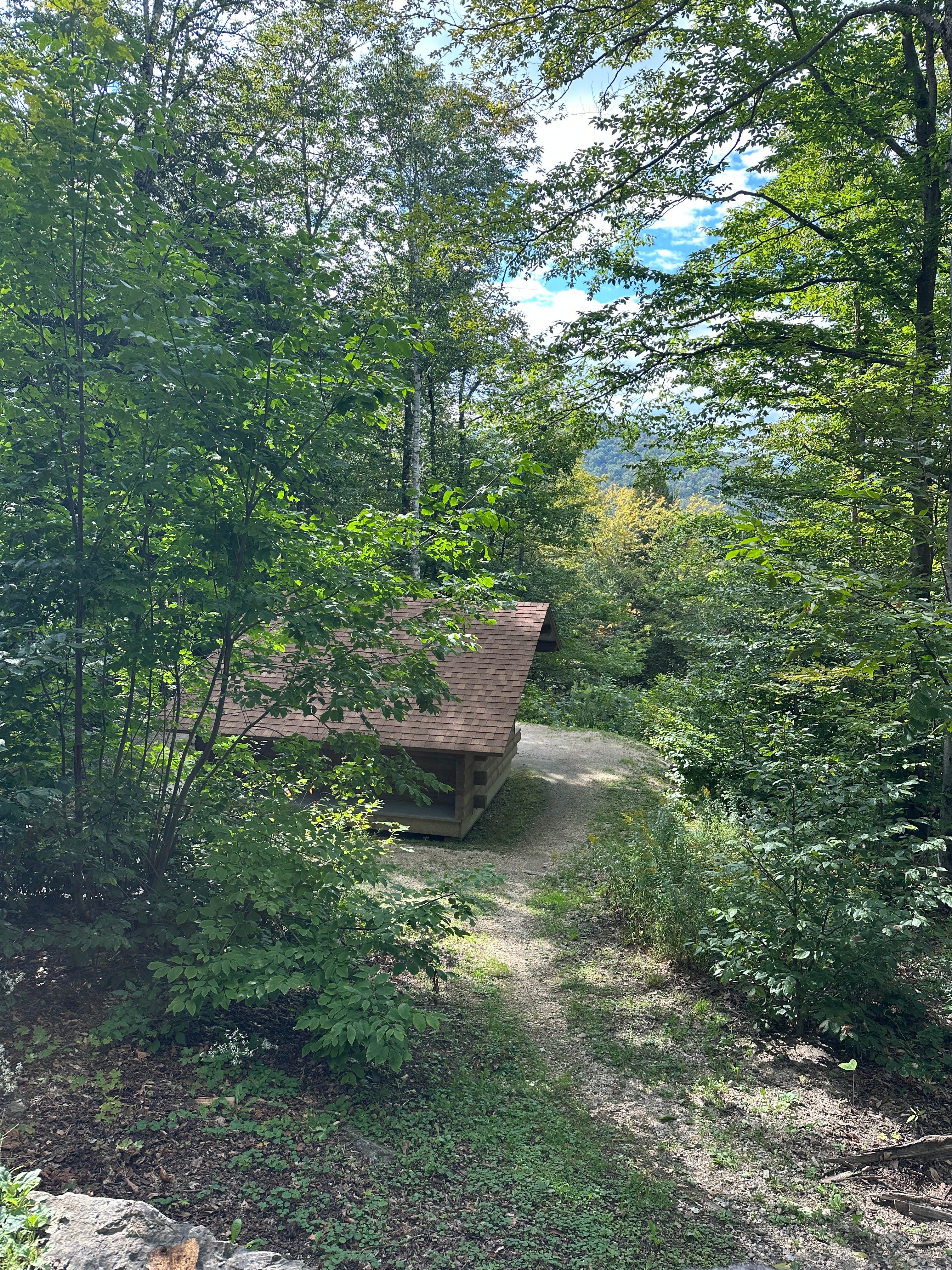 Camper-submitted photo at Coolidge State Park Campground Vermont near Reading, VT