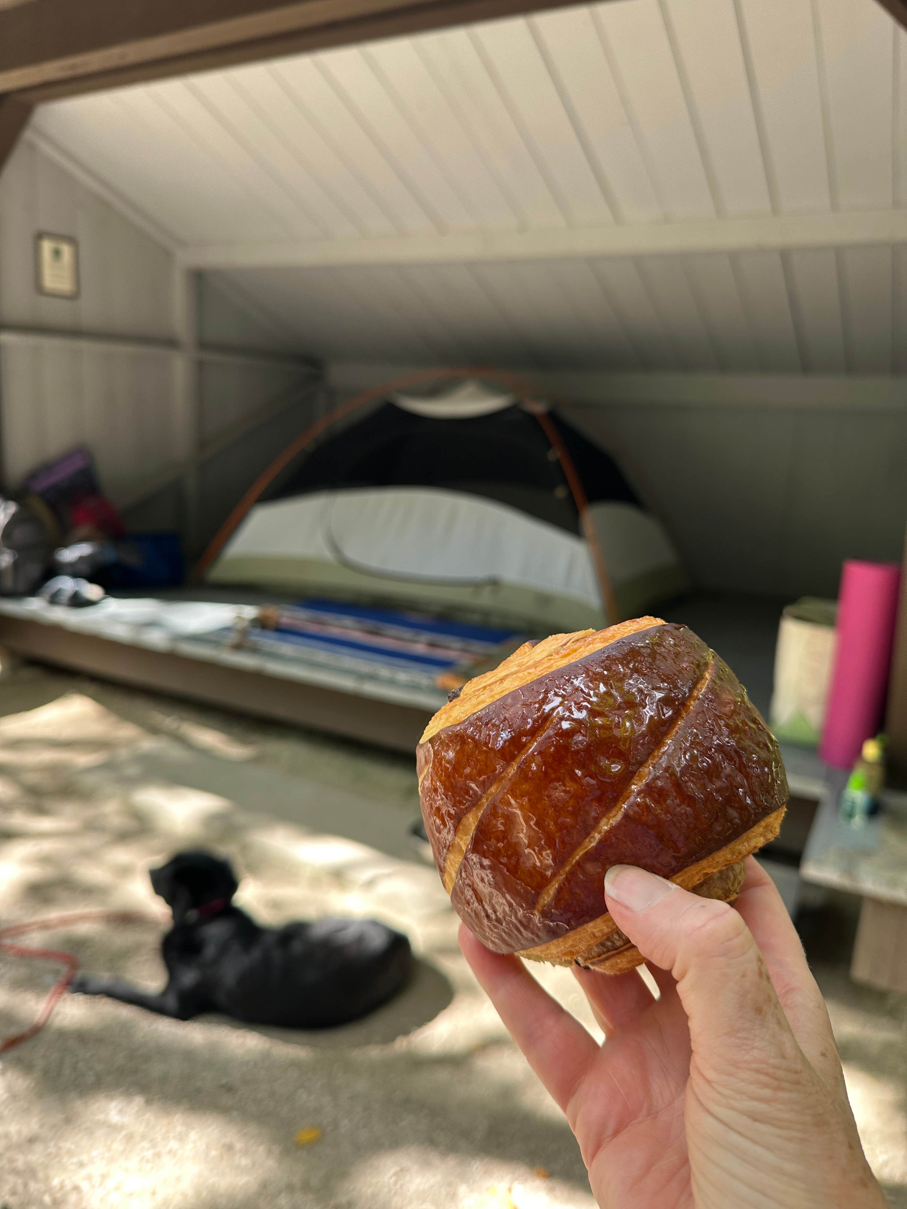 Camper-submitted photo at Coolidge State Park Campground Vermont near Reading, VT