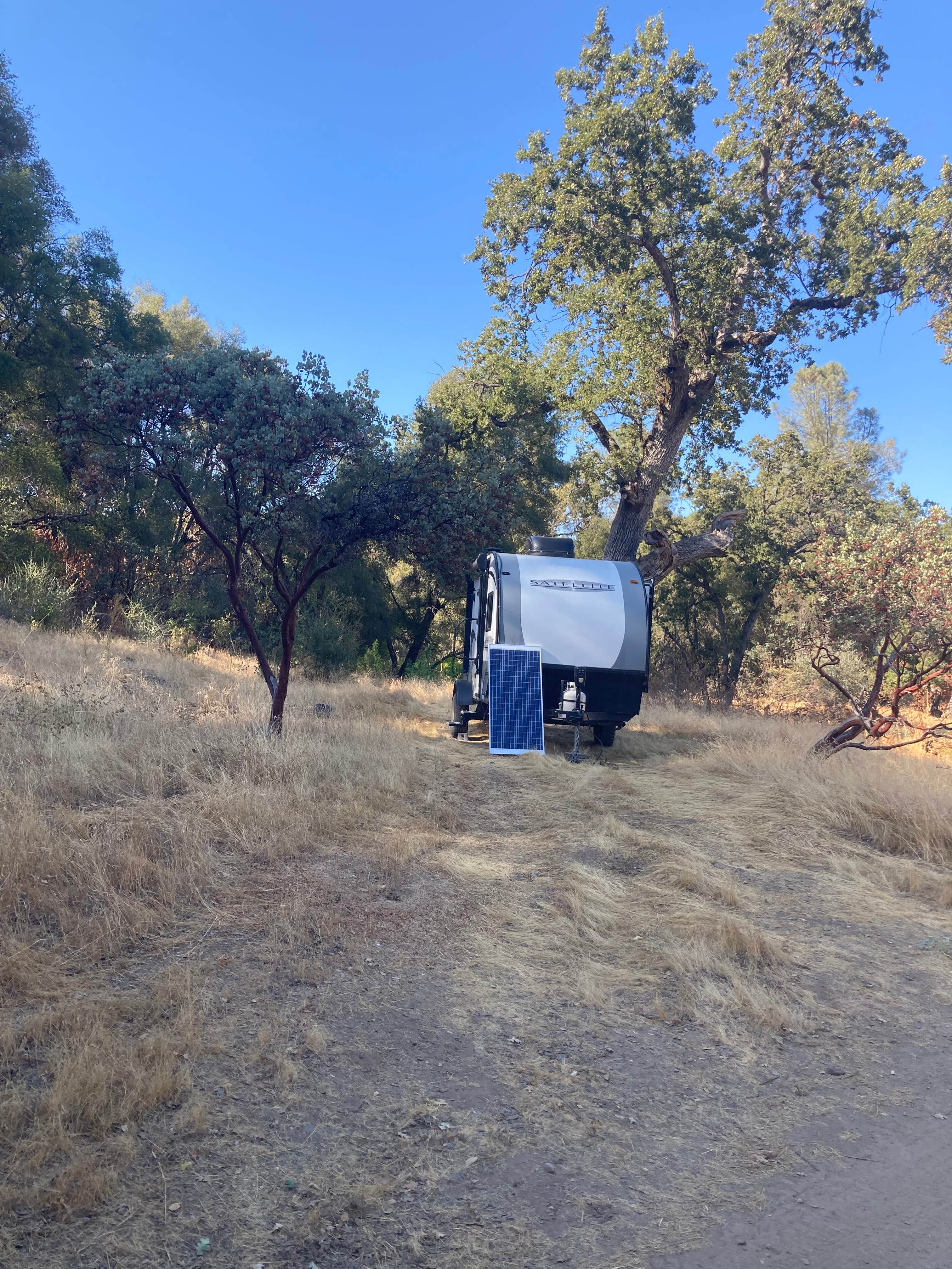 Foothill Butterfly