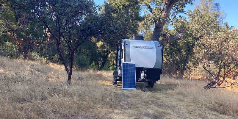 Camper submitted image from Foothill Butterfly