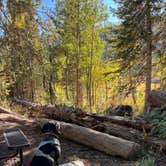 Review photo of Gothic Campground Site 9-12 by Gerard E., September 18, 2026