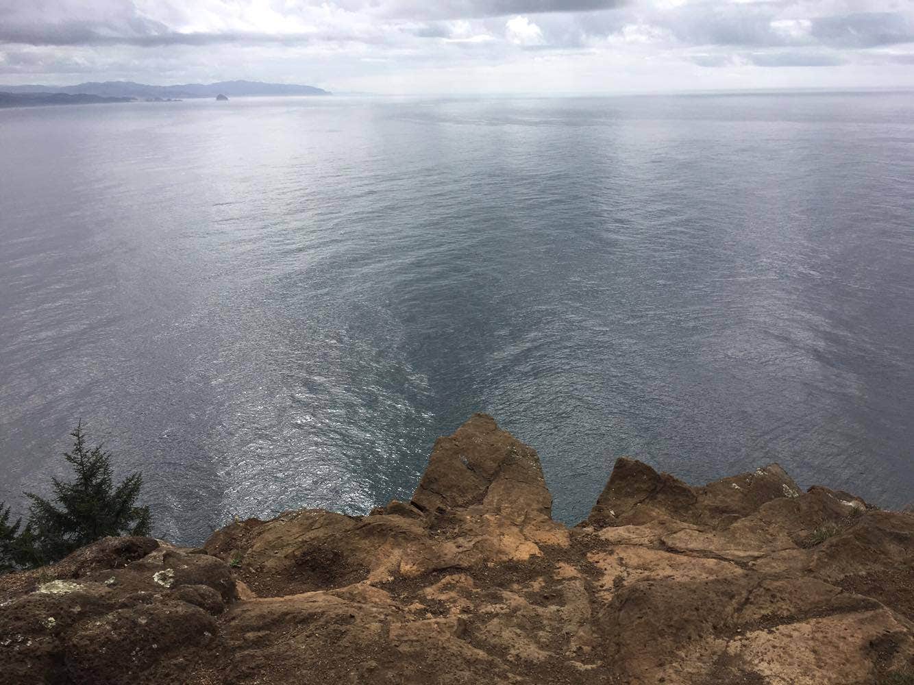 View All