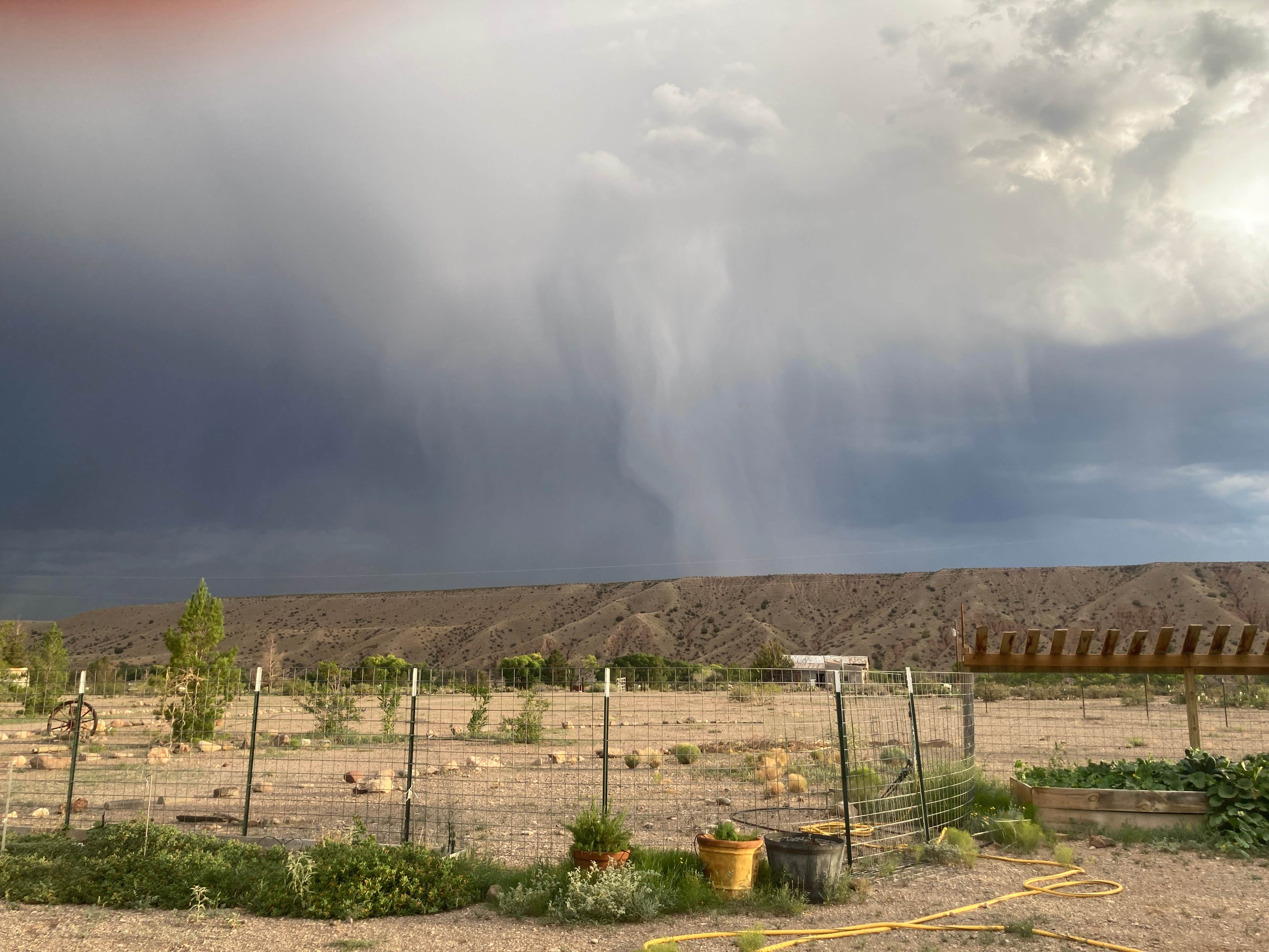 Camping near Bear Trap Campground: Roadrunner Ridge, Winston, New Mexico