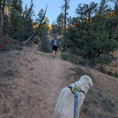 Review photo of Red Canyon Campground by Chuck T., September 18, 2026