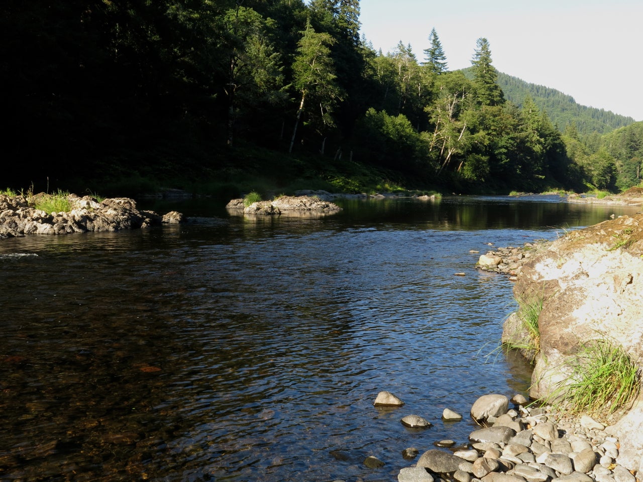 Camper submitted image from Tillamook State Forest Nehalem Falls Campground - 5