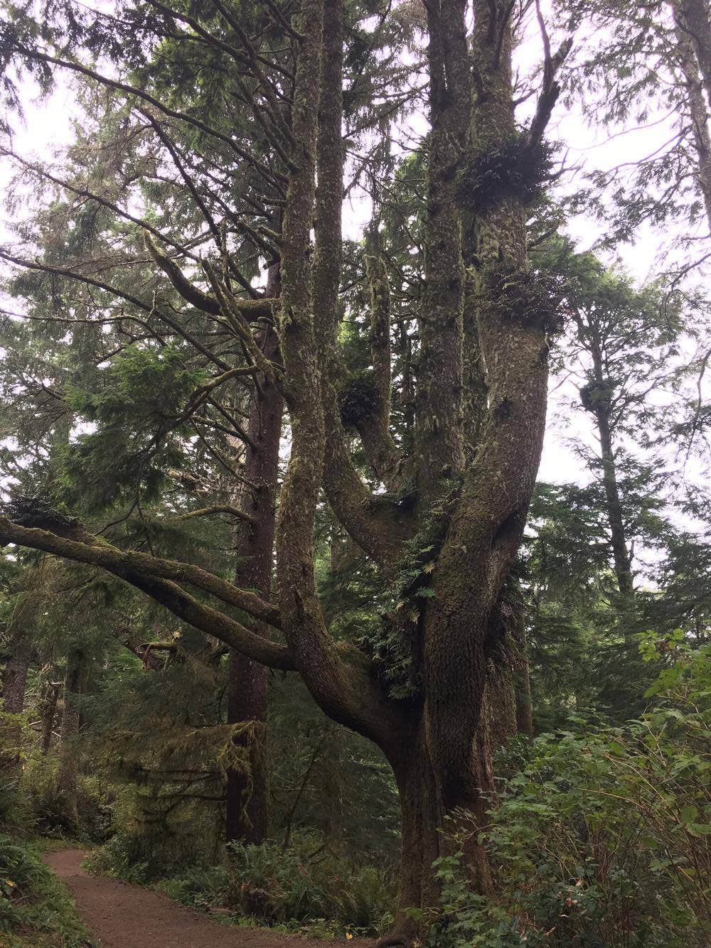 Camper-submitted photo at Lewey Lake Campground near Blue Mountain Lake, NY