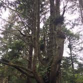Review photo of Lewey Lake — DEC by Carrie J., September 30, 2016