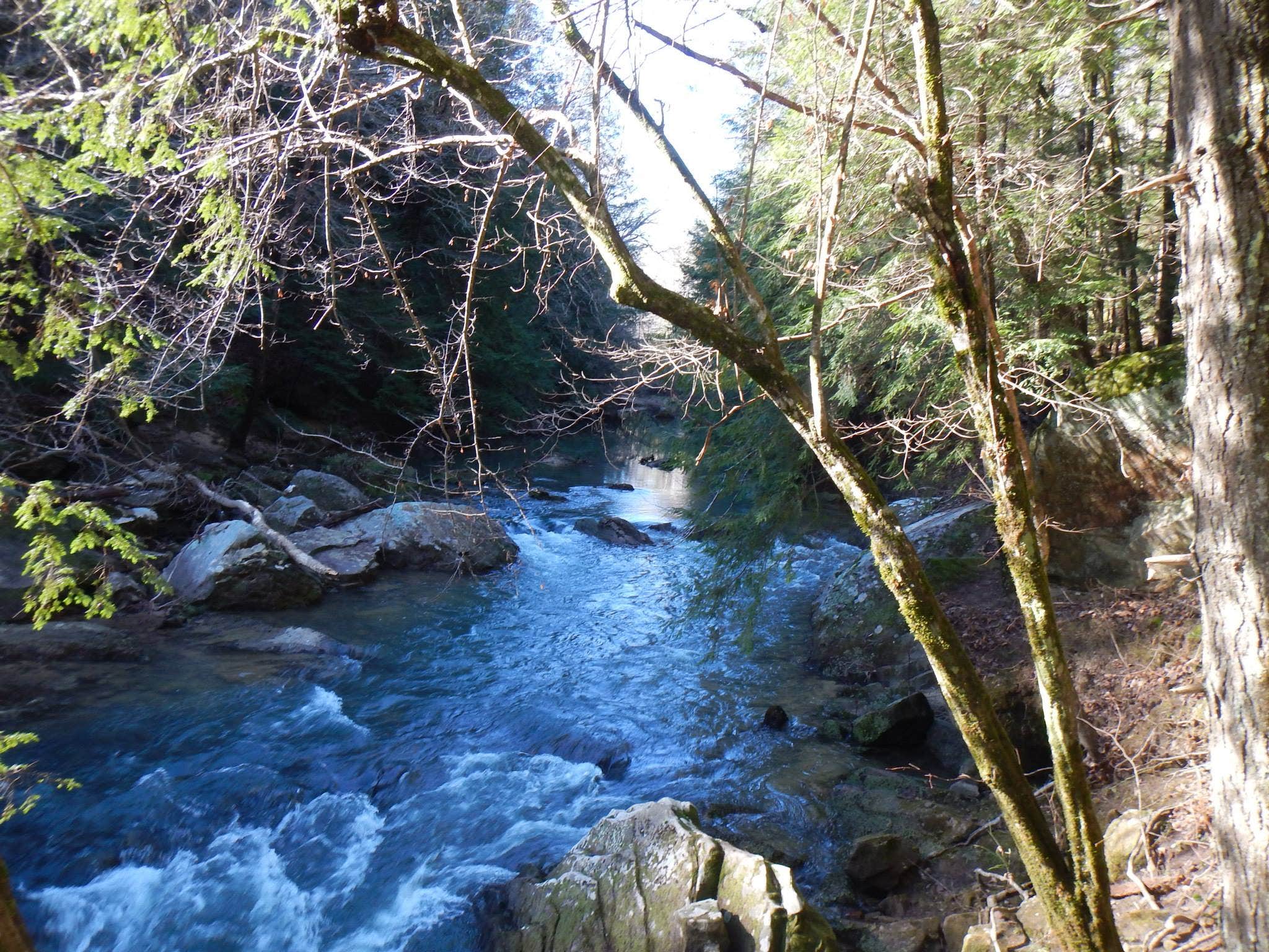 Camper submitted image from Thompson Creek Trail Campsites - 3