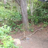 Review photo of Thousand Trails Whalers Rest by Ray D., September 20, 2026