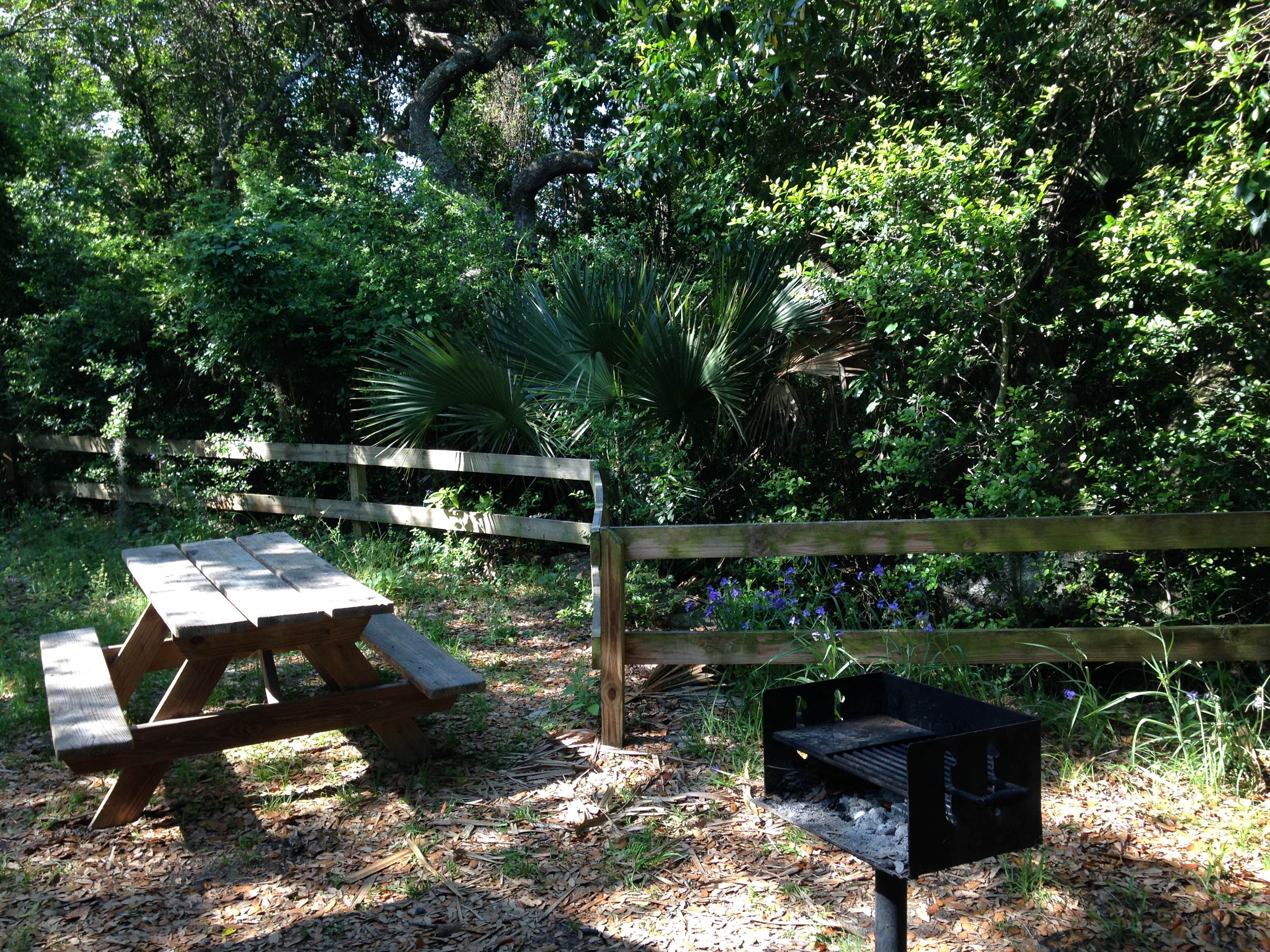 Camper submitted image from Anastasia State Park Campground - 5