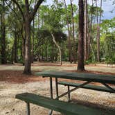 Review photo of Chassahowitzka River Campground by Libby H., September 21, 2026