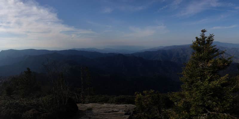 Camper submitted image from Mount LeConte Shelter — Great Smoky Mountains National Park