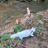 Review photo of Long Creek Haven by Nat S., September 24, 2026