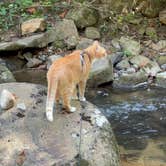 Review photo of Long Creek Haven by Nat S., September 24, 2026