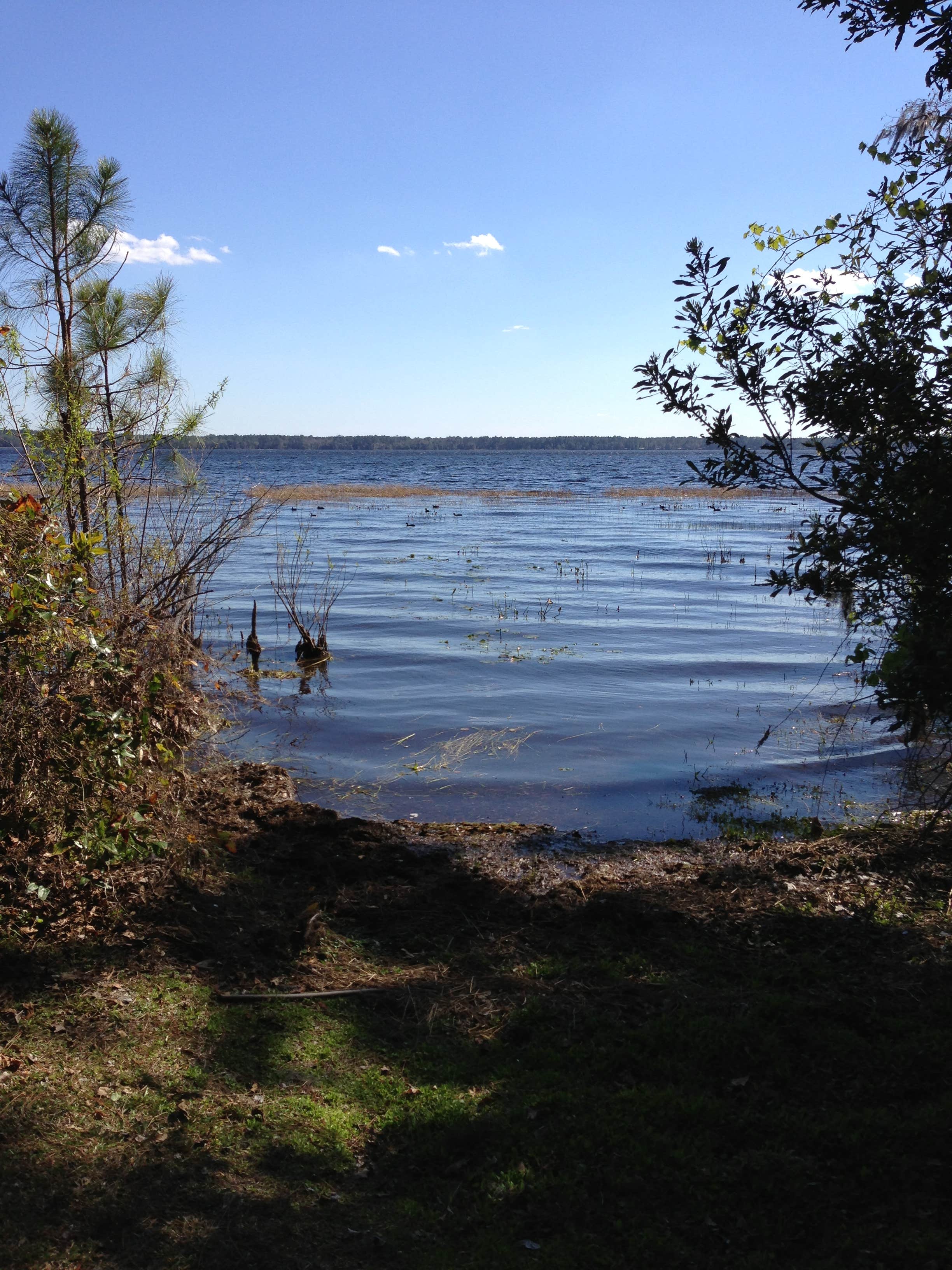 Camper-submitted photo at Ocean Pond Campground near Lake City, FL