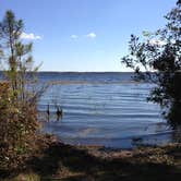 Review photo of Ocean Pond Campground by Chad P., June 12, 2016