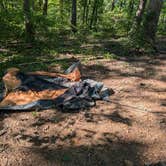 Review photo of Dispersed Camping off Falls Dam Trail by Justyne D., September 26, 2026