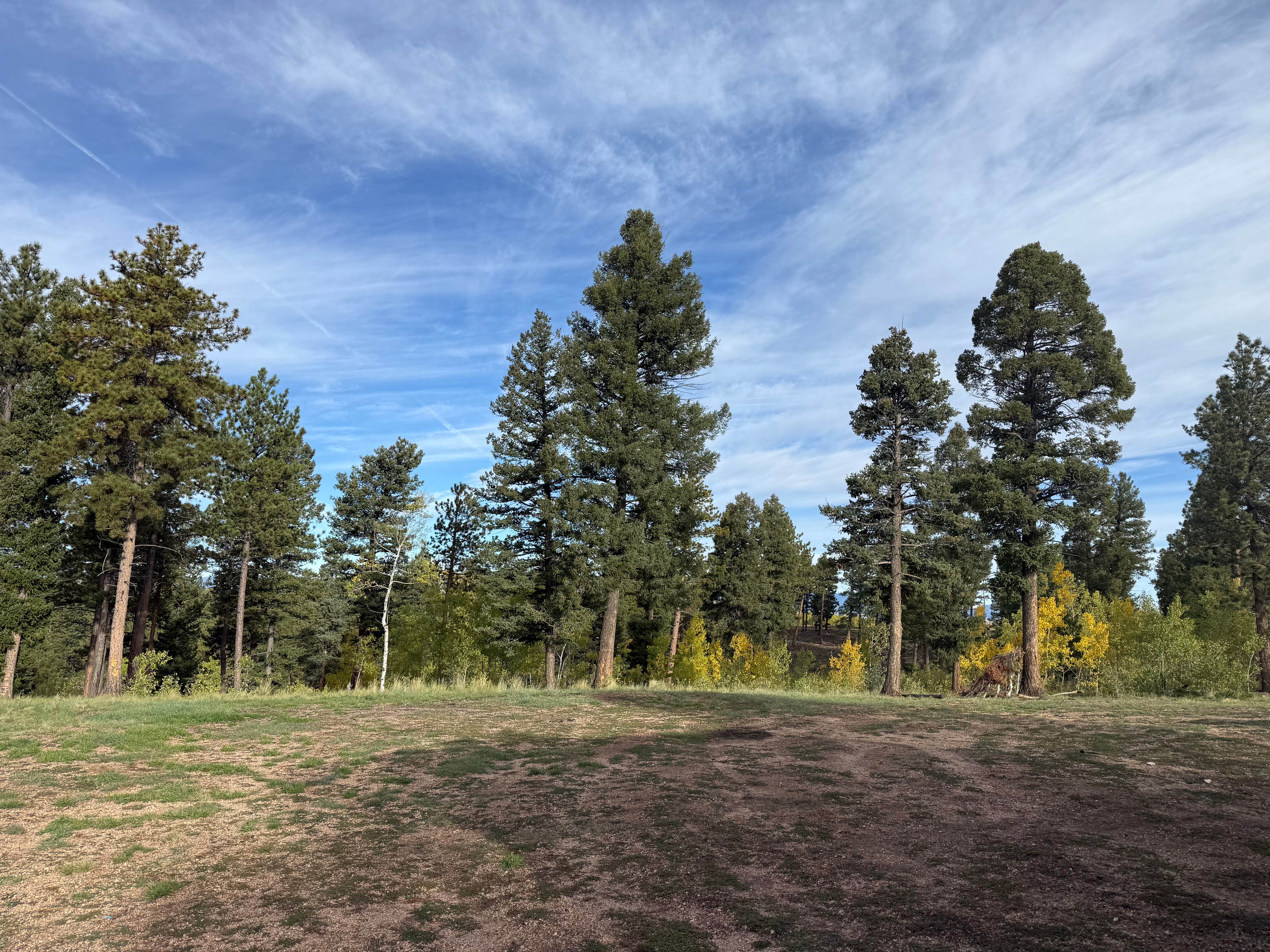 Camping near Golden Bell Camp and Conference Center: Manchester Creek Trailhead, Divide, Colorado