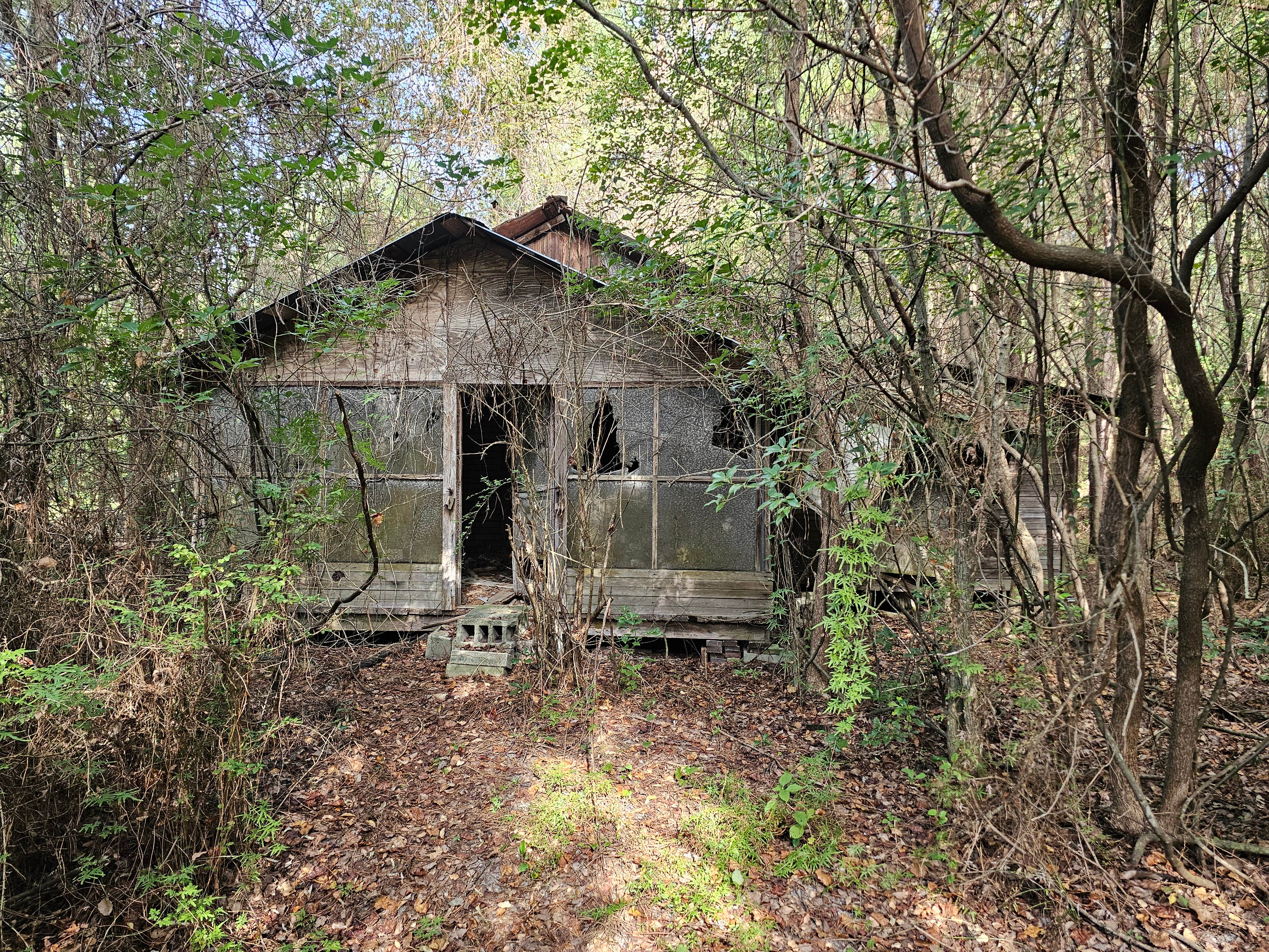 Camper-submitted photo at Blackwell Street Historic Homestead Campground near Waycross, GA