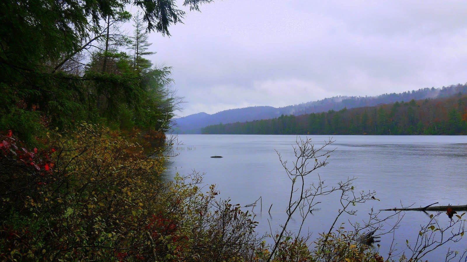 Camper submitted image from Nicks Lake Adirondack Preserve - 4