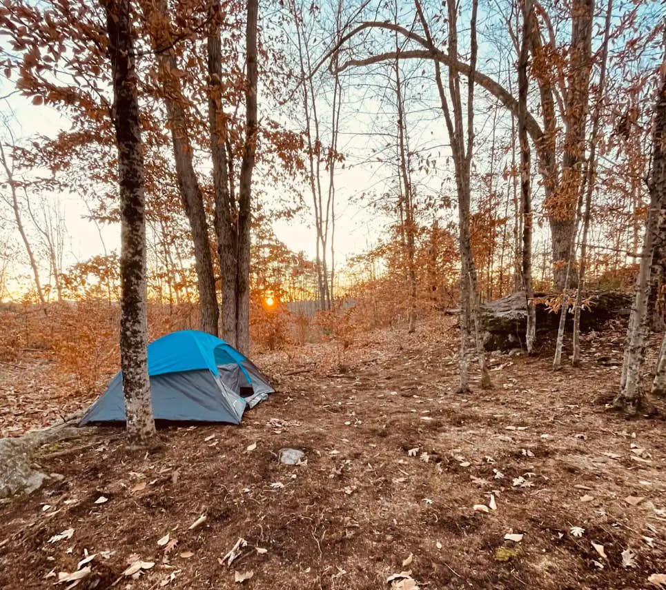 Camping near Lake Ivanhoe Inn and Camping Resort: Bittersweet Farm, Union, Maine
