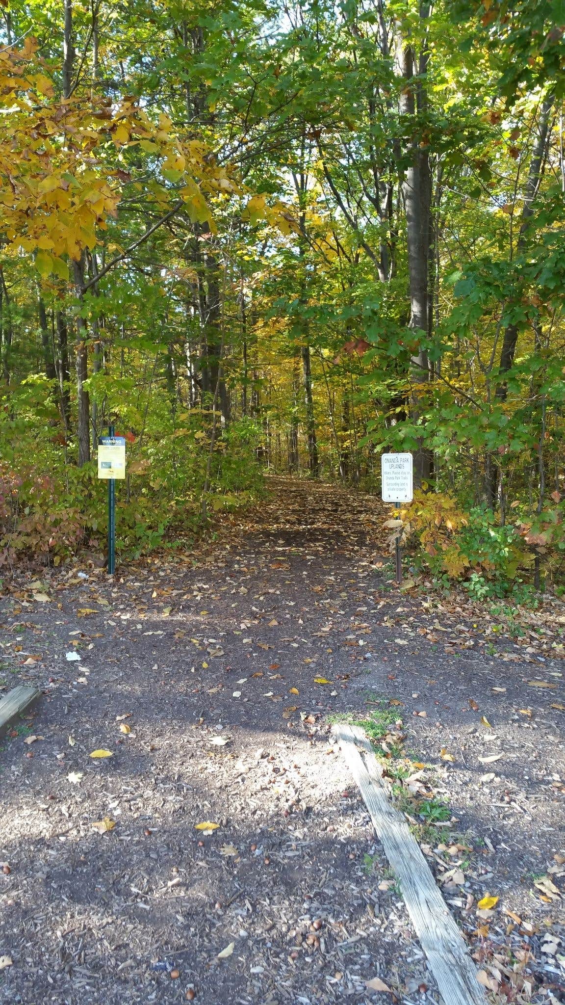 Camper-submitted photo at Nicks Lake Campground near Remsen, NY