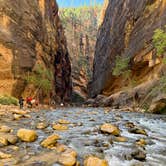 Review photo of Watchman Campground — Zion National Park by Mary H., October 1, 2026