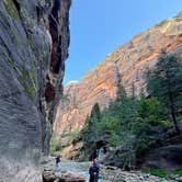 Review photo of Watchman Campground — Zion National Park by Mary H., October 1, 2026