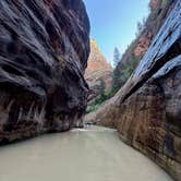 Review photo of Watchman Campground — Zion National Park by Mary H., October 1, 2026