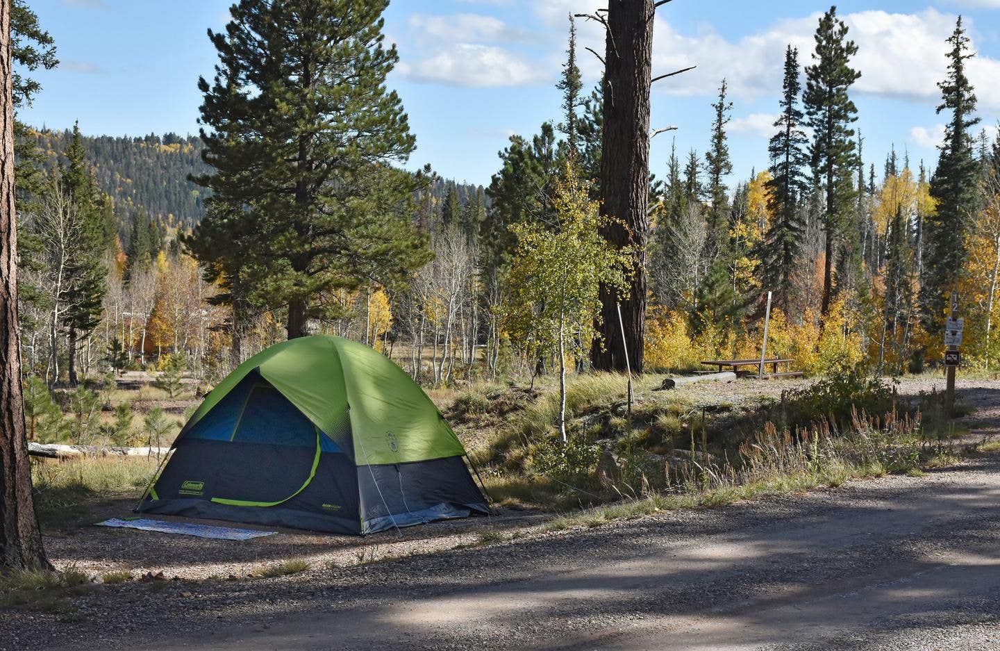 DeMotte National Forest Campground