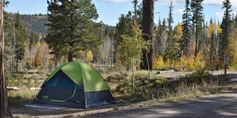 Camper submitted image from DeMotte National Forest Campground