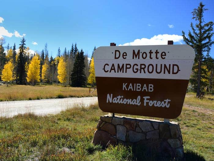 Camper-submitted photo at DeMotte National Forest Campground near North Rim, AZ