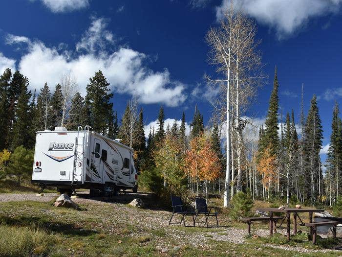 Camper-submitted photo at DeMotte National Forest Campground near North Rim, AZ