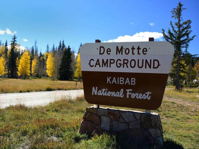 Camper-submitted photo at DeMotte National Forest Campground near North Rim, AZ