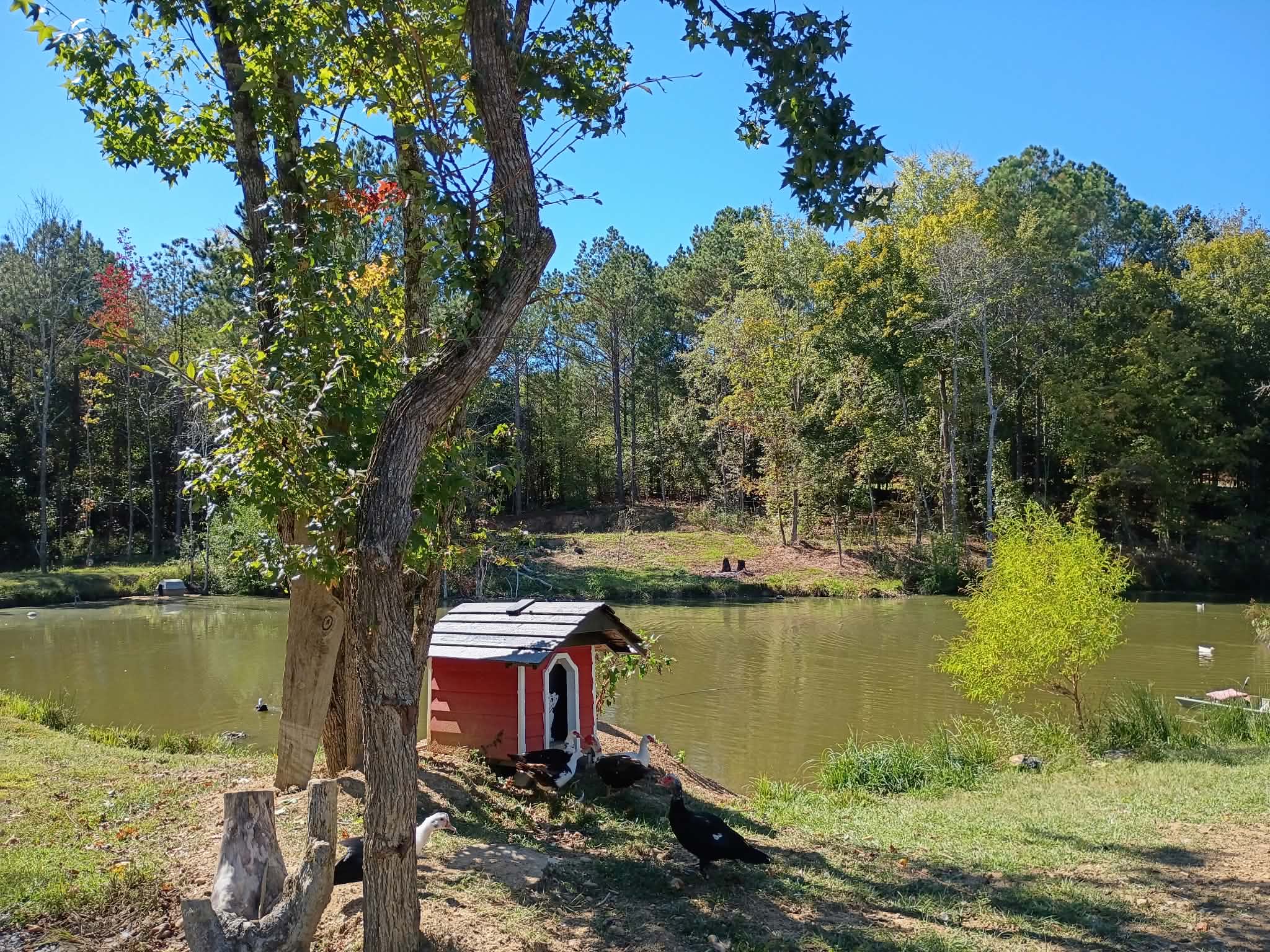 Camping near Chilhowee Recreation Area: Klein lake campground, Benton, Tennessee