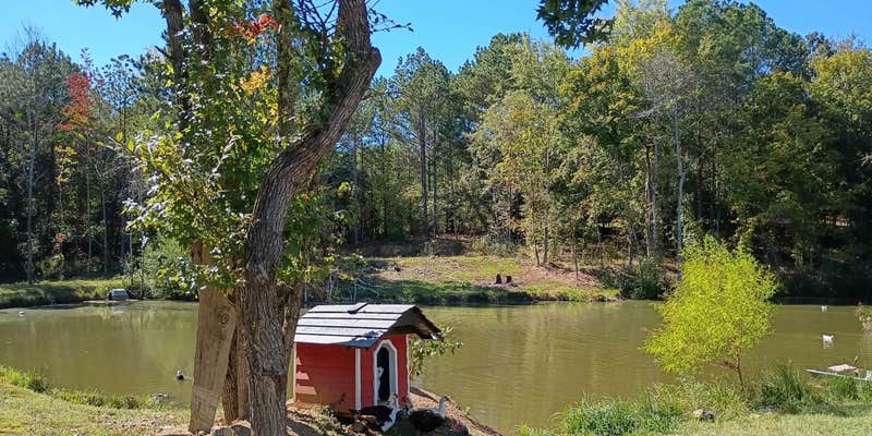 Camper submitted image from Klein lake campground