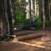 Review photo of Five Mile Camp — North Cascades National Park by Shari  G., September 30, 2016