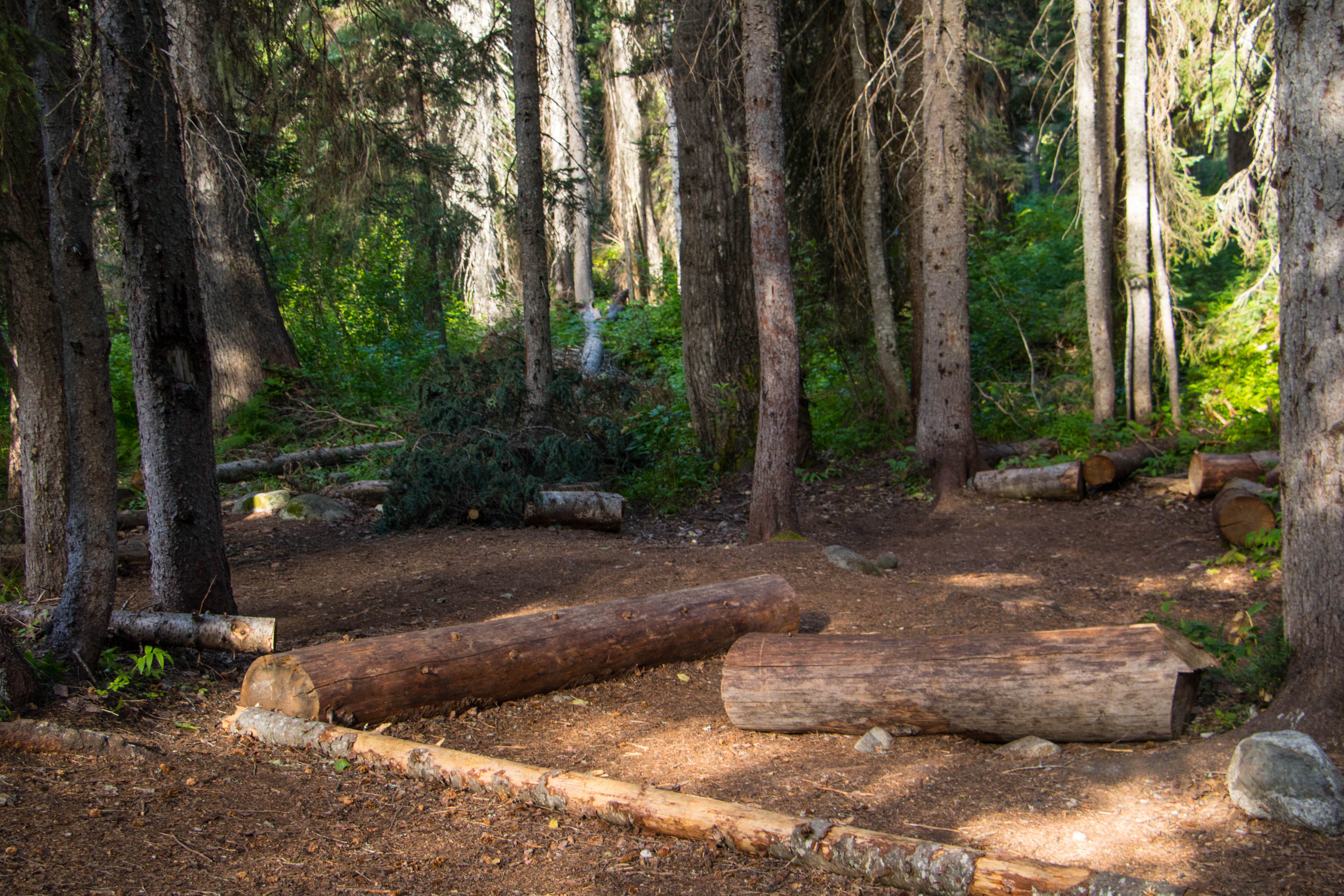 Camper submitted image from Five Mile Camp — North Cascades National Park - 2