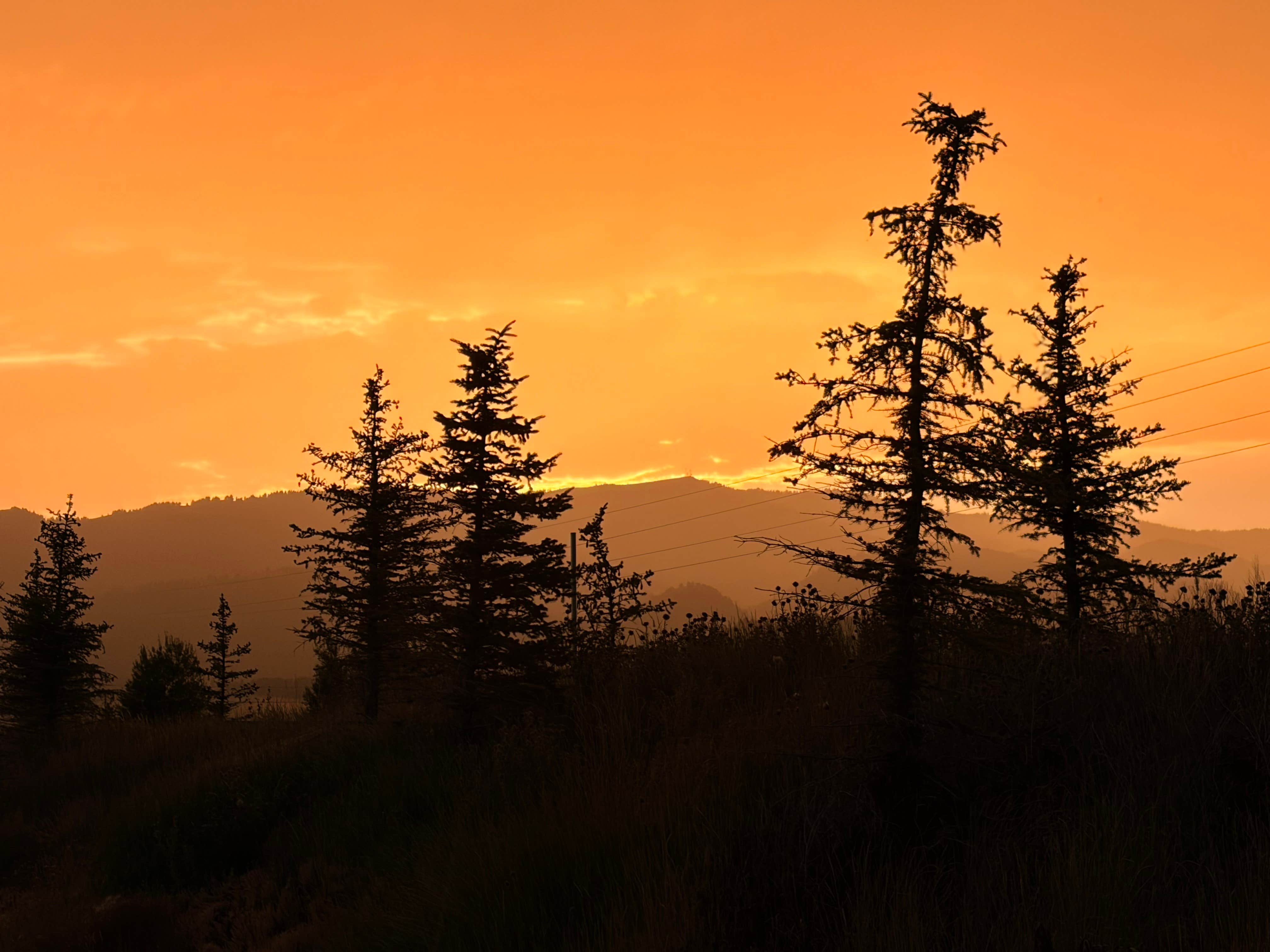 Camping near Flat Creek RV Park and Cabins: Alpine / Bridger-Teton National Forest KOA, Star Valley Ranch, Wyoming