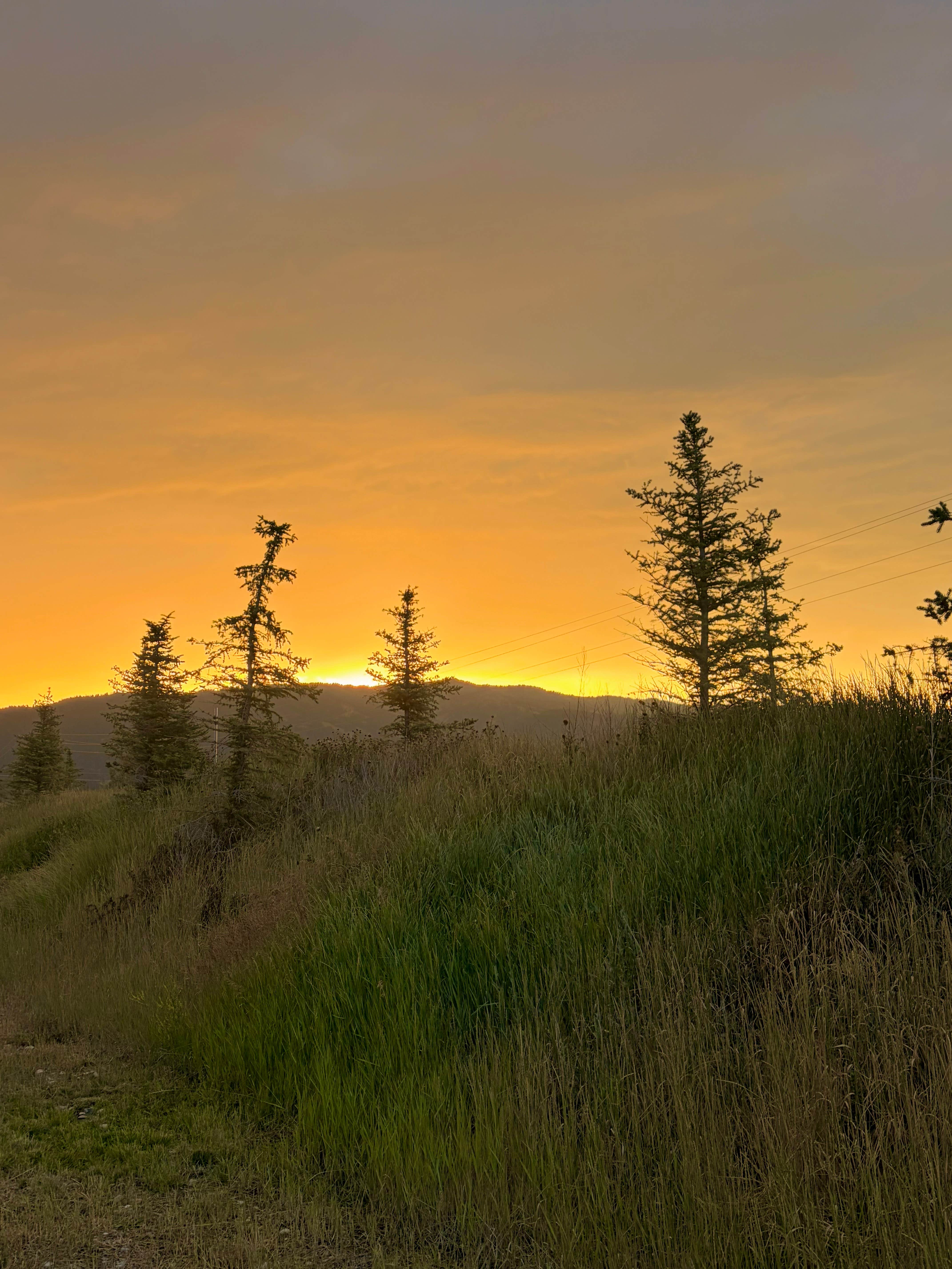 Camper-submitted photo at Alpine / Bridger-Teton National Forest KOA near Star Valley Ranch, WY