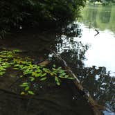 Review photo of Cumberland Falls State Resort Park by Amy P., September 30, 2016