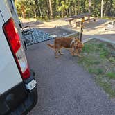 Review photo of Mueller State Park Campground by Lori M., October 4, 2026