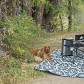 Review photo of Dearhamer Campground by Lori M., October 4, 2026