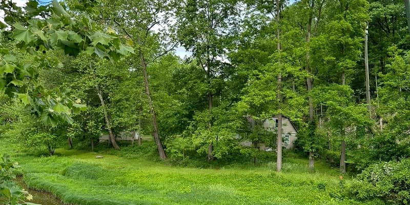 Camper submitted image from Between The Vines at The River House