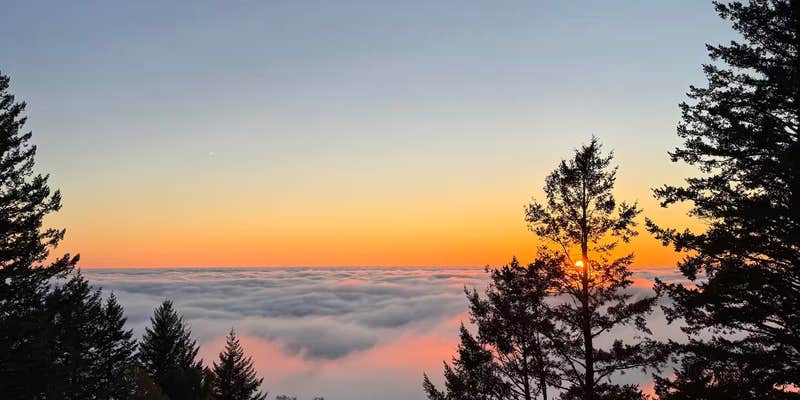Camper submitted image from Kings Mountain Fancy Camp