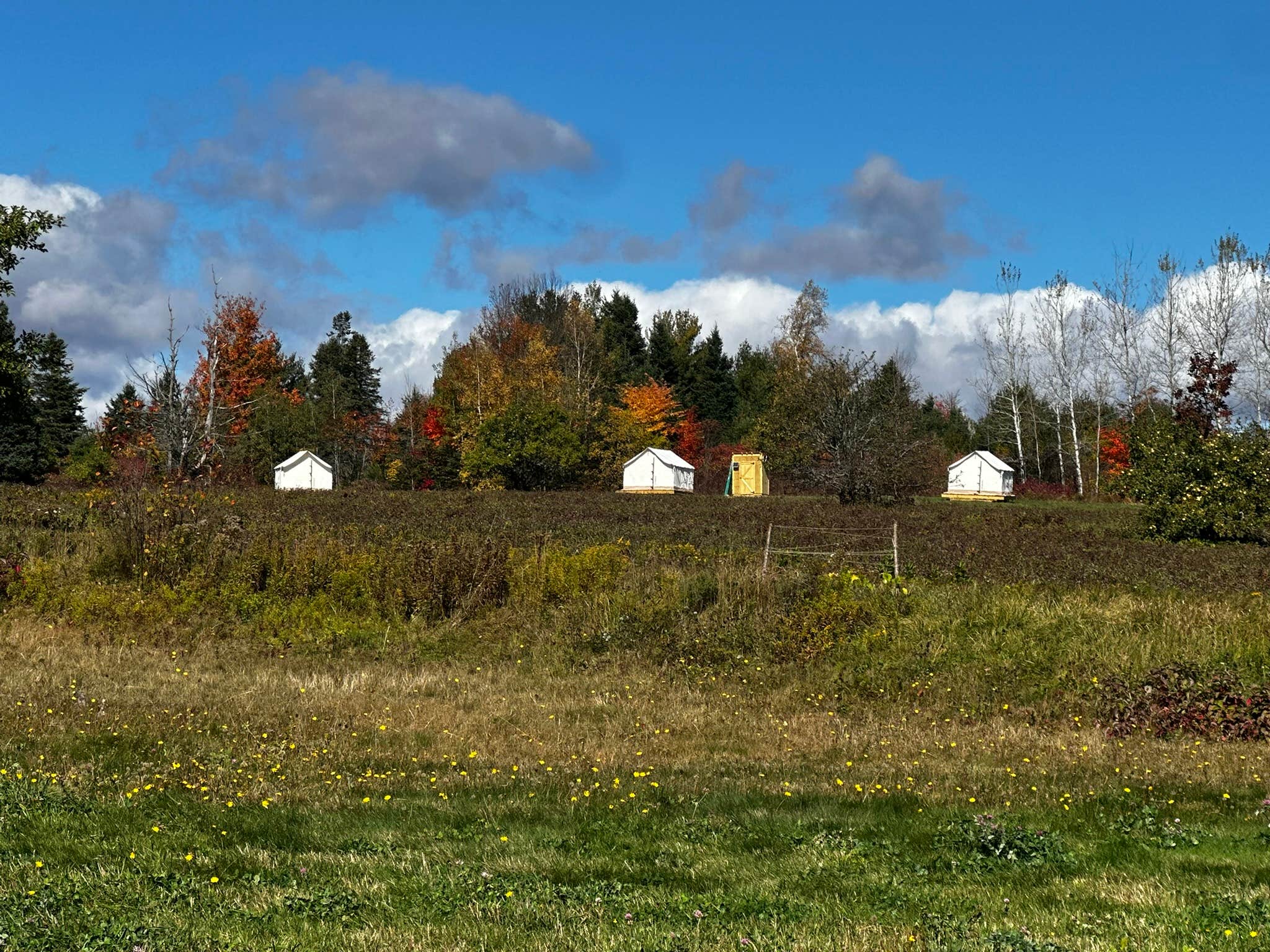 Camping near Aroostook State Park Campground: Bear Ridge Camping, Stacyville, Maine